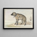 Spotted Hyena - Aert Schouman — ingelijst kunstwerk aan de muur