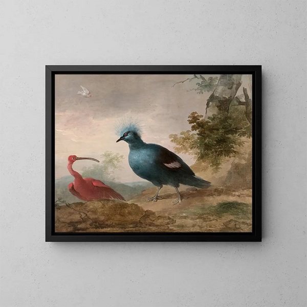 Pintade de Numidie, black cockatoo, red ibis and crowned goura - Aert Schouman — framed artwork on a wall