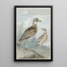 Twee futen - Aert Schouman — ingelijst kunstwerk aan de muur