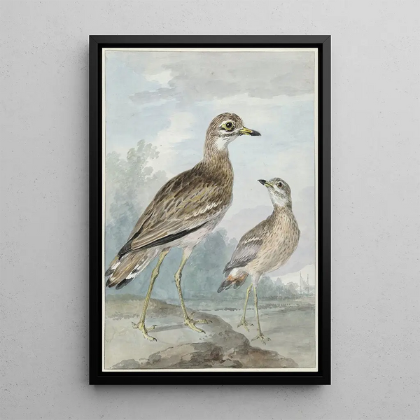Aert Schouman - Twee grielen.webp