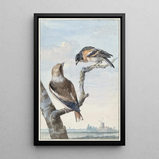 Aert Schouman - Twee vogels een appelvink Coccothraustes coccothraustes en een keep Fringilla montifringilla.webp