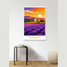 Poster Provence Vintage bij zonsondergang
