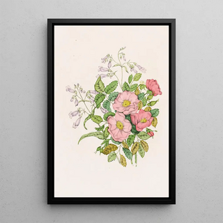 Agnes Fitzgibbon - Early Wild Rose Pentstmon BeardTongue.webp