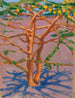Acacia in de savanne - Akseli Gallen-Kallela — weergave van het kunstwerk