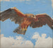 Falcon - Akseli Gallen-Kallela — artwork view