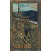 van het grote zwarte bergtop - Akseli Gallen-Kallela — weergave van het kunstwerk