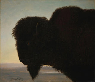 Albert Bierstadt - Buffalo Head.webp