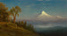 Mont St Helens, rivier Columbia, Oregon - Albert Bierstadt — weergave van het kunstwerk