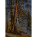 Park in Vancouver - Albert Bierstadt — weergave van het kunstwerk