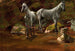 Studie van wilde paarden - Albert Bierstadt — weergave van het kunstwerk