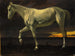 Paard wit en zonsondergang - Albert Bierstadt — weergave van het kunstwerk
