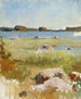 Landschap van het onvoltooide archipel - Albert Edelfelt — weergave van het kunstwerk