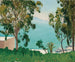 Het strand gezien door de eucalyptus - Albert Marquet — weergave van het kunstwerk
