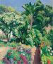 Het Bloemenpark - Albert Marquet — weergave van het kunstwerk
