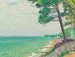 Pins à Pyla - Albert Marquet — weergave van het kunstwerk