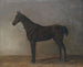 Grijze paard - Albrecht Adam — weergave van het kunstwerk