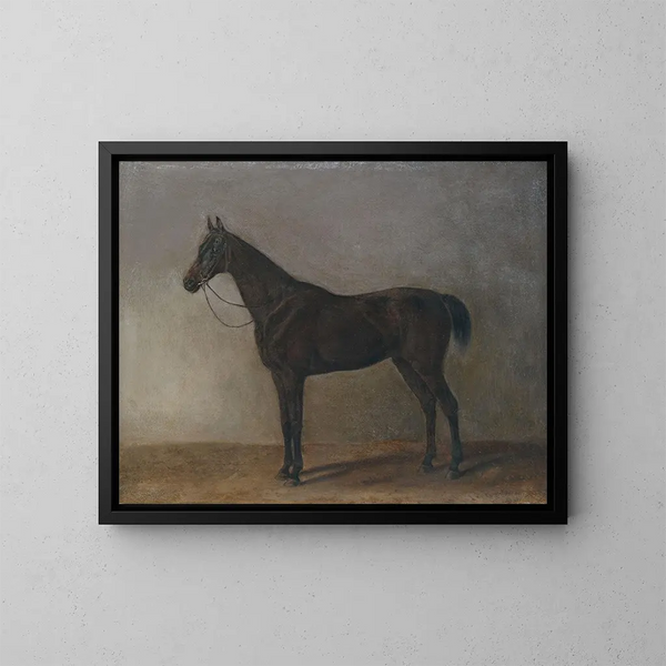 Gray Horse - Albrecht Adam — framed artwork on a wall