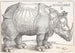 De Neushoorn - Albrecht Dürer — weergave van het kunstwerk