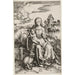 Het Heilige Maagd en het Kind met de aap - Albrecht Dürer — weergave van het kunstwerk