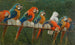 Parrots - Alceste Campriani — artwork view