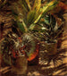 Begonias - Aleksander Gierymski — artwork view
