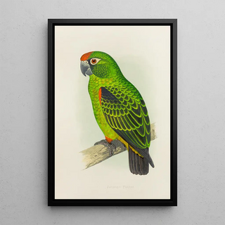 Alexander Francis Lydon - Jardines Parrot.webp