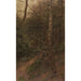 Reproductie van het schilderij Bomen in de bosrand - Alexander Koester