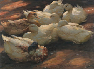Alexander Koester - Enten am Boden lagernd.webp