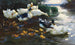 van Kanaries met kuikens in het water - Alexander Koester — weergave van het kunstwerk