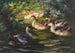 Zes eenden op het water onder oeverstruiken - Alexander Koester — weergave van het kunstwerk