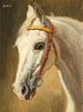 Portrait of Horse Quinta - Alexander Pock — artwork view