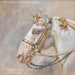 Portret van paarden Favory Montenegra - Alexander Pock — weergave van het kunstwerk