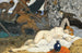 Ariadne on Naxos - Alexander Rothaug — artwork view