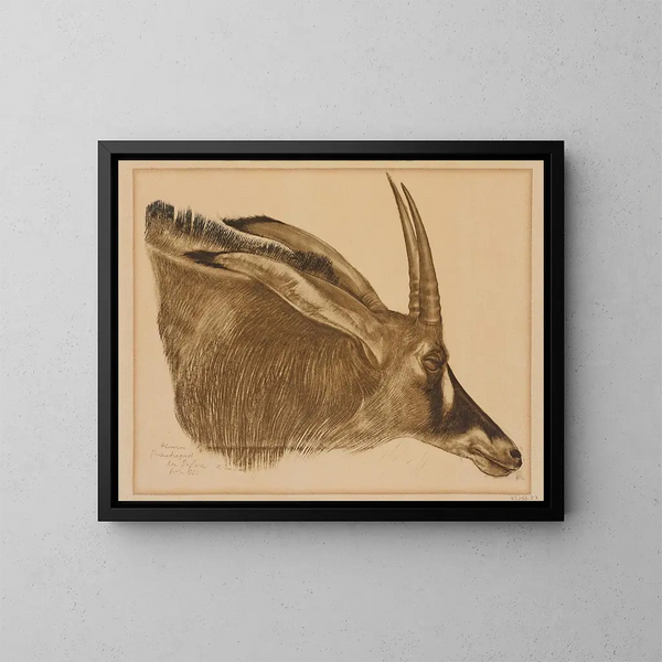 Antilope hippotrague - Alexandre Iacovleff — framed artwork on a wall