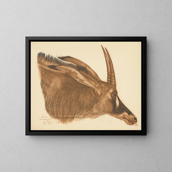 Drawings and paintings of Africa pl. 22 - Alexandre Iacovleff — framed artwork on a wall