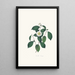 Illustraties en beschrijvingen van de planten die de natuurlijke orde van de Camellieae vormen Pl05 - Alfred Chandler — ingelijst kunstwerk aan de muur