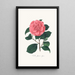 Illustraties en beschrijvingen van de planten die de natuurlijke orde van de Camellieae vormen Pl26 - Alfred Chandler — ingelijst kunstwerk aan de muur