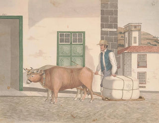 Alfred Diston - Oxsledge for the conveyance of merchandise.webp