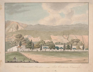 van het botanische tuin bij Puerto de la Orotava, Tenerife - Alfred Diston — weergave van het kunstwerk