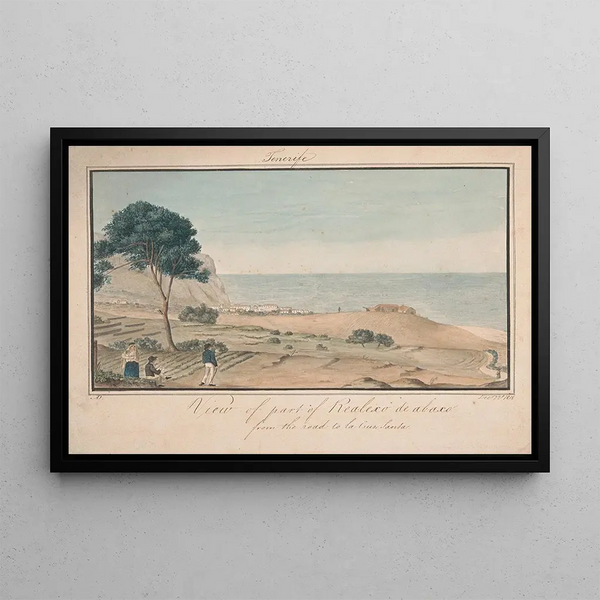 Vue van een deel van Realesco van Abasco vanaf de weg naar Cruz Santa - Alfred Diston — ingelijst kunstwerk aan de muur
