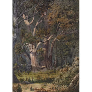Alfred Sharpe - Burial place of Hone Heke Bay of Islands.webp