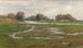Landschap met rivier en moeras - Alice Marion Curtis — weergave van het kunstwerk