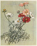 Cosmos - Alice W. Donaldson — weergave van het kunstwerk