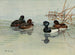 Fuligule van Nieuw-Zeeland - Allan Brooks — weergave van het kunstwerk
