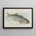 Blue Fish - Allen Ginter — framed artwork on a wall