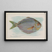 Fish Butter - Allen Ginter — framed artwork on a wall