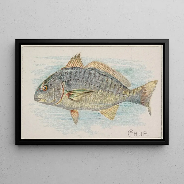 Chevesne - Allen Ginter — framed artwork on a wall
