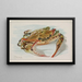 Crab - Allen Ginter — framed artwork on a wall
