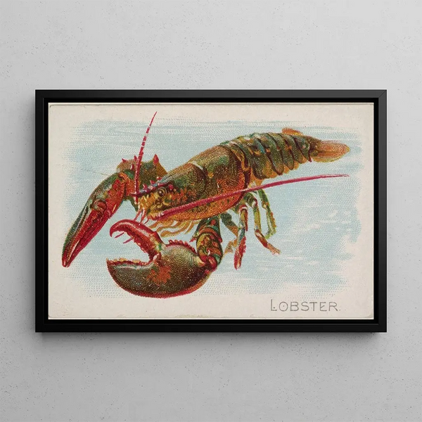 Lobster - Allen Ginter — framed artwork on a wall