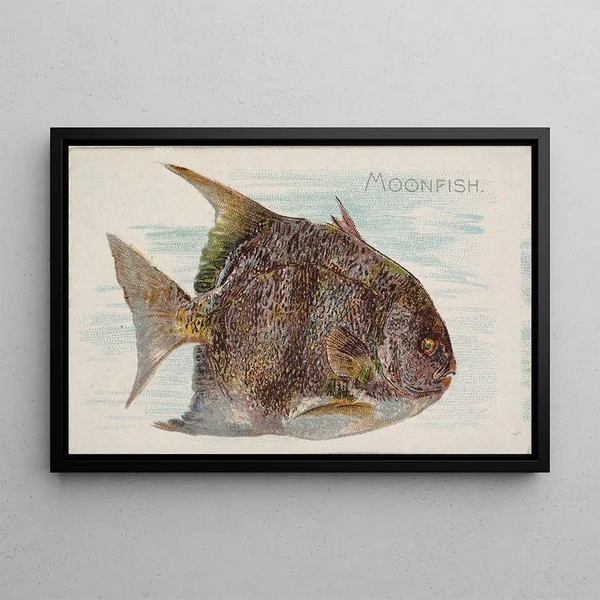 Fish Moon - Allen Ginter — framed artwork on a wall